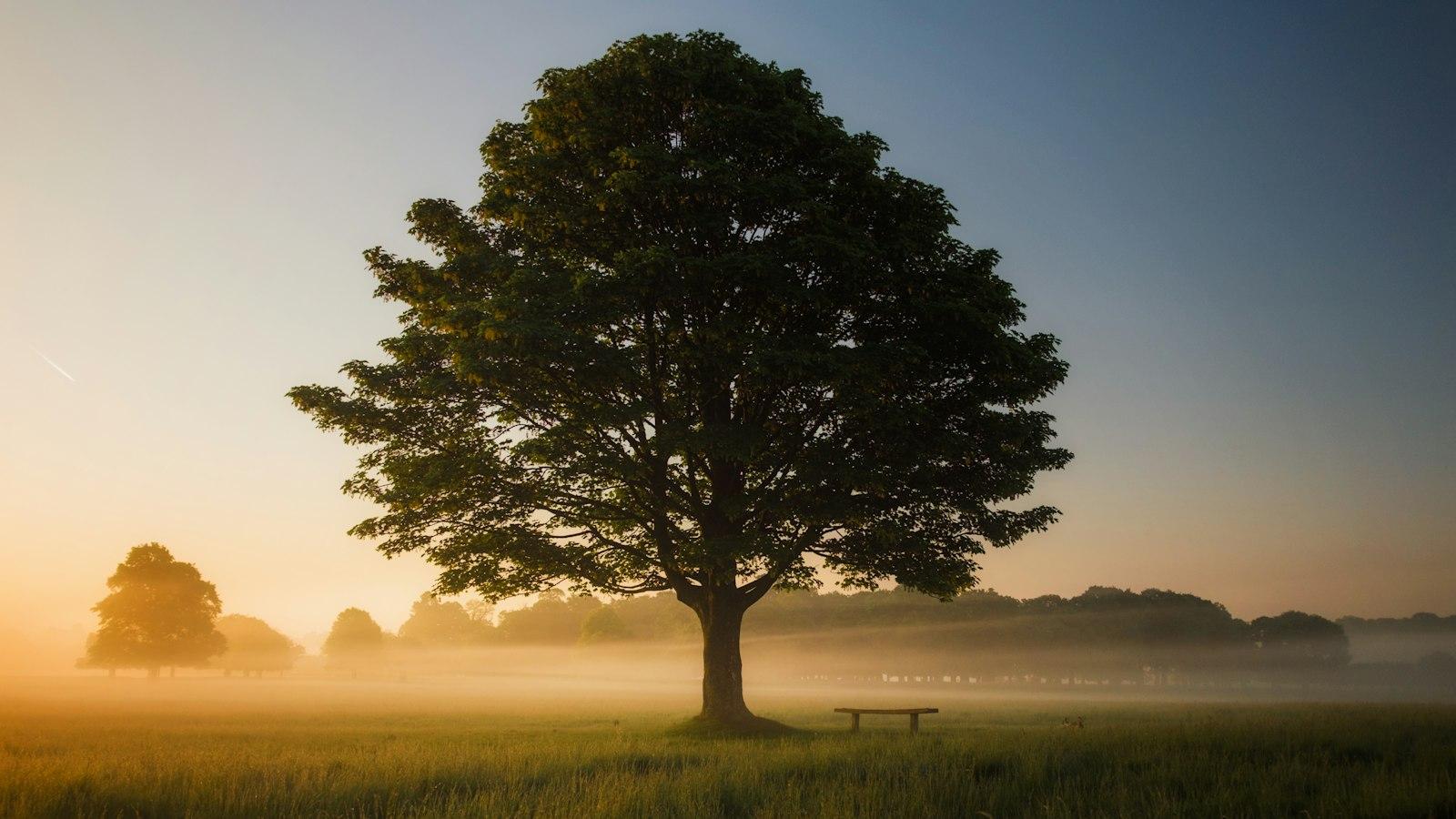 Understanding⁤ the Spiritual Energy of May: Celebrating⁣ Beltane and​ Fertility